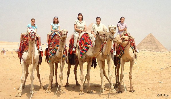 Camel Ride around the Pyramids